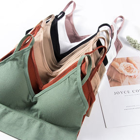 Sutiã Maria Bonita (Compre 1 Leve 2)